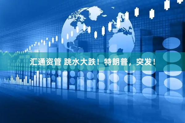 汇通资管 跳水大跌！特朗普，突发！