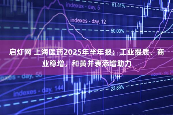 启灯网 上海医药2025年半年报：工业提质、商业稳增，和黄并表添增助力