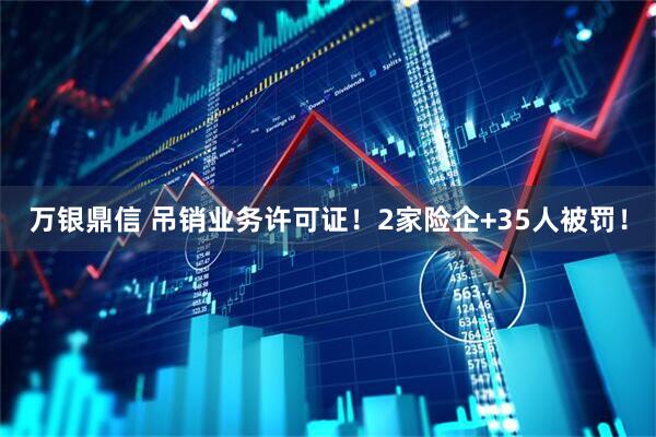 万银鼎信 吊销业务许可证！2家险企+35人被罚！